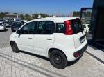 fiat-panda-2019-gasolina-1242cc