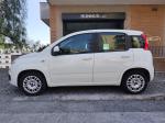 fiat-panda-2017-gasolina-1242cc