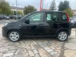 fiat-panda-2024-gasolina-999cc