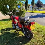 honda-z-2005-gasolina-50cc