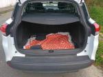 renault-clio-0-9-tce-2017-gasolina-898cc