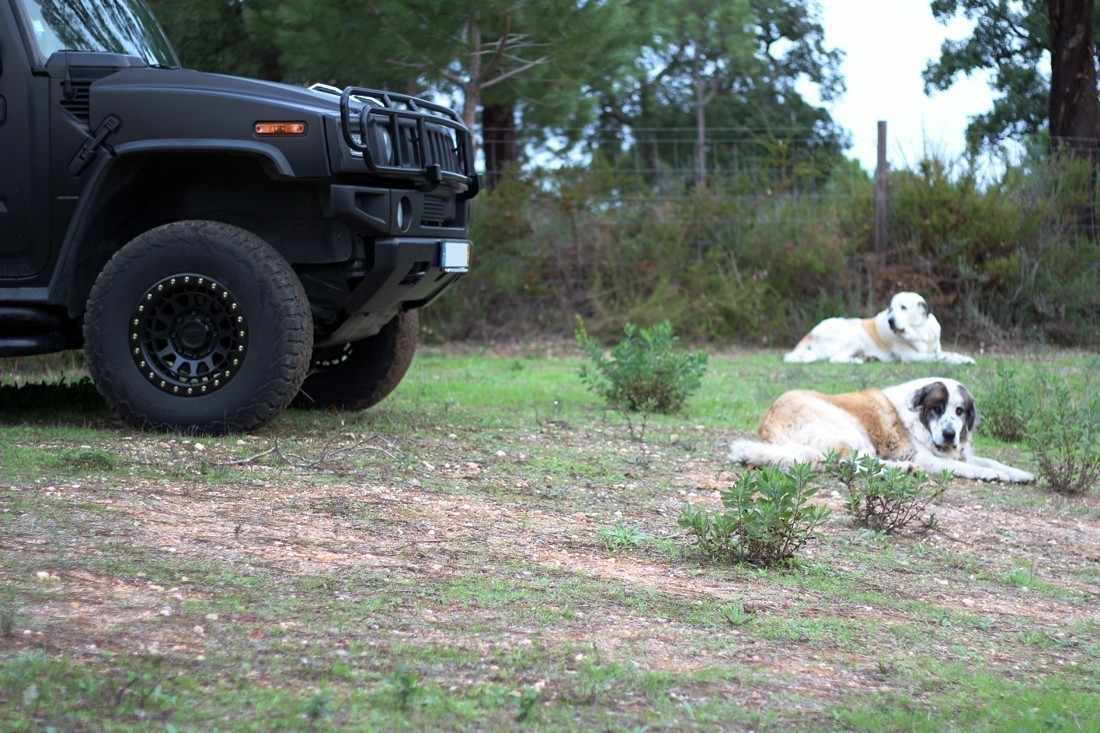 hummer-h2-2006-gasolina-5967cc