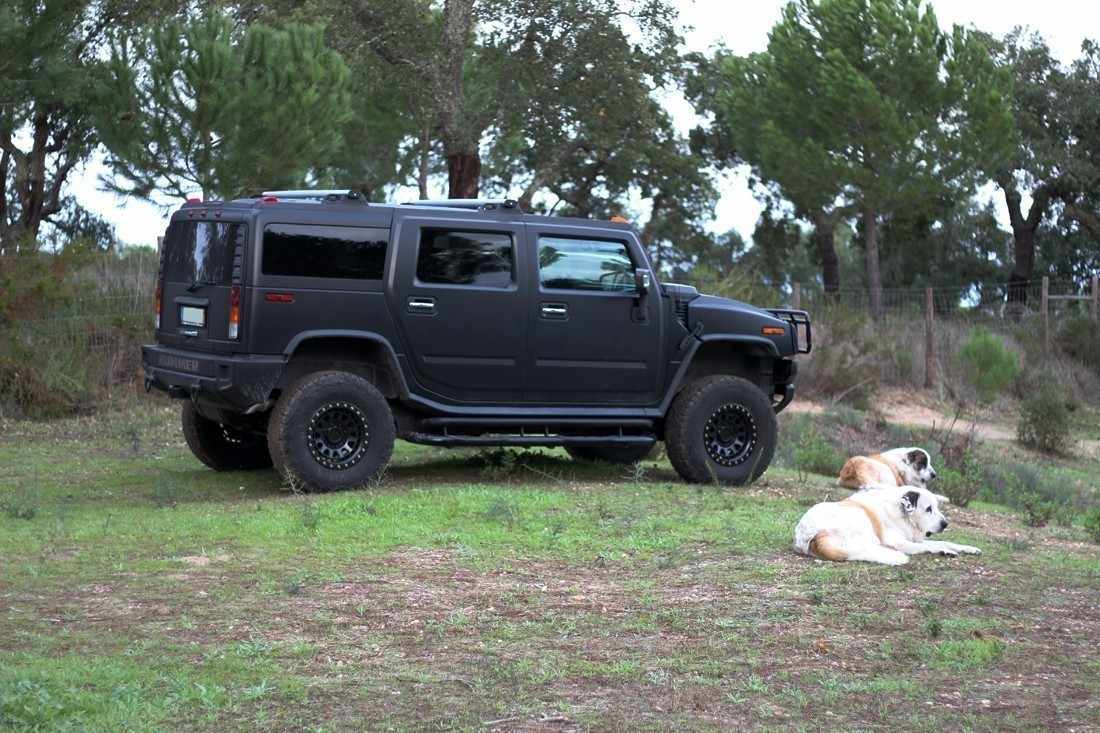hummer-h2-2006-gasolina-5967cc