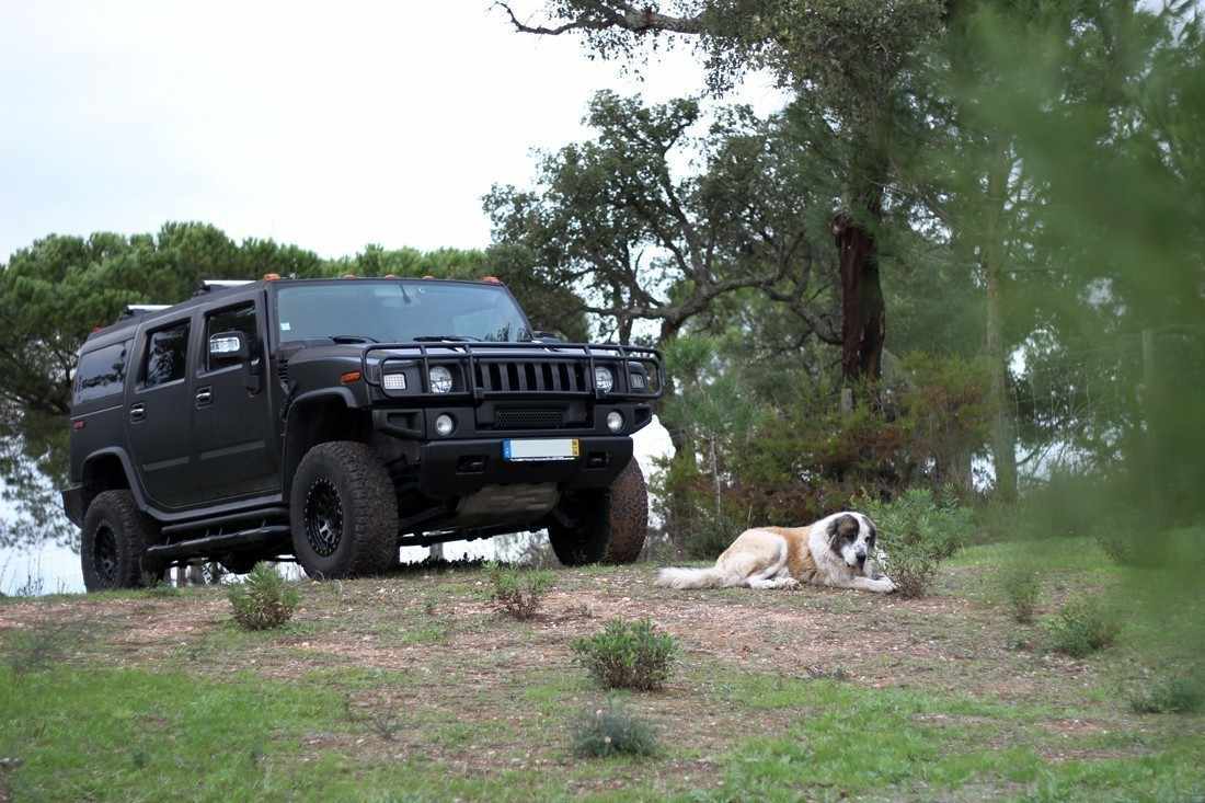 hummer-h2-2006-gasolina-5967cc
