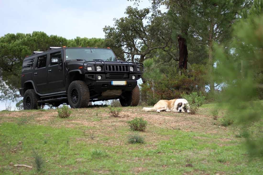 hummer-h2-2006-gasolina-5967cc