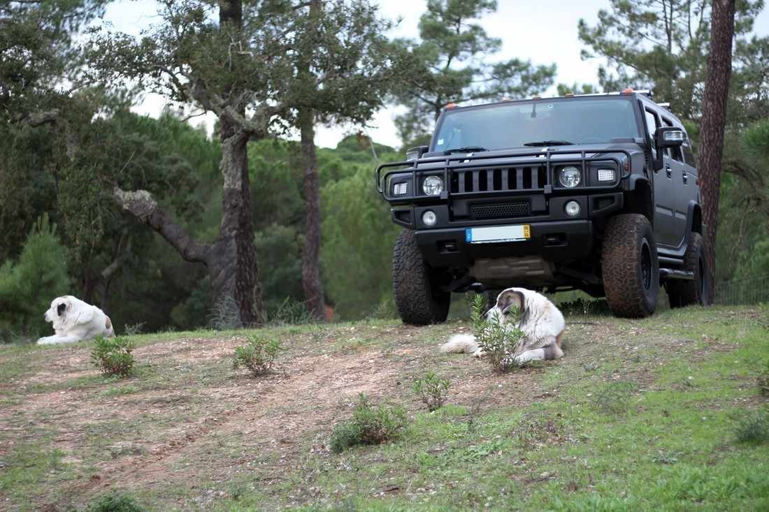 hummer-h2-2006-gasolina-5967cc