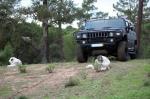 hummer-h2-2006-gasolina-5967cc