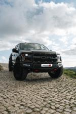 ford-f-150-2017-gasolina-3490cc