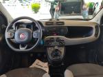 fiat-panda-2022-hibrido-a-gasolina-10cc