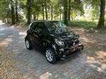 smart-fortwo-2014-gasolina-999cc
