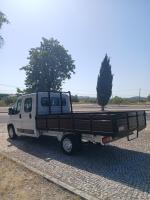 opel-movano-2023-diesel-2184cc