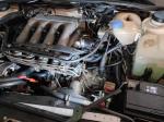 volkswagen-golf-1988-gasolina-1781cc