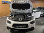 citroen-c4-cactus-2019-gasolina-1199cc