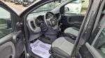 fiat-panda-2017-gasolina-1242cc