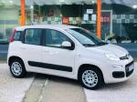 fiat-panda-2016-gasolina-1242cc