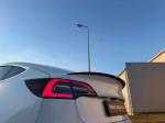 tesla-model-3-standard-range-plus-2019-eletrico