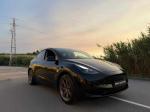 tesla-model-y-standard-range-rwd-2023-eletrico
