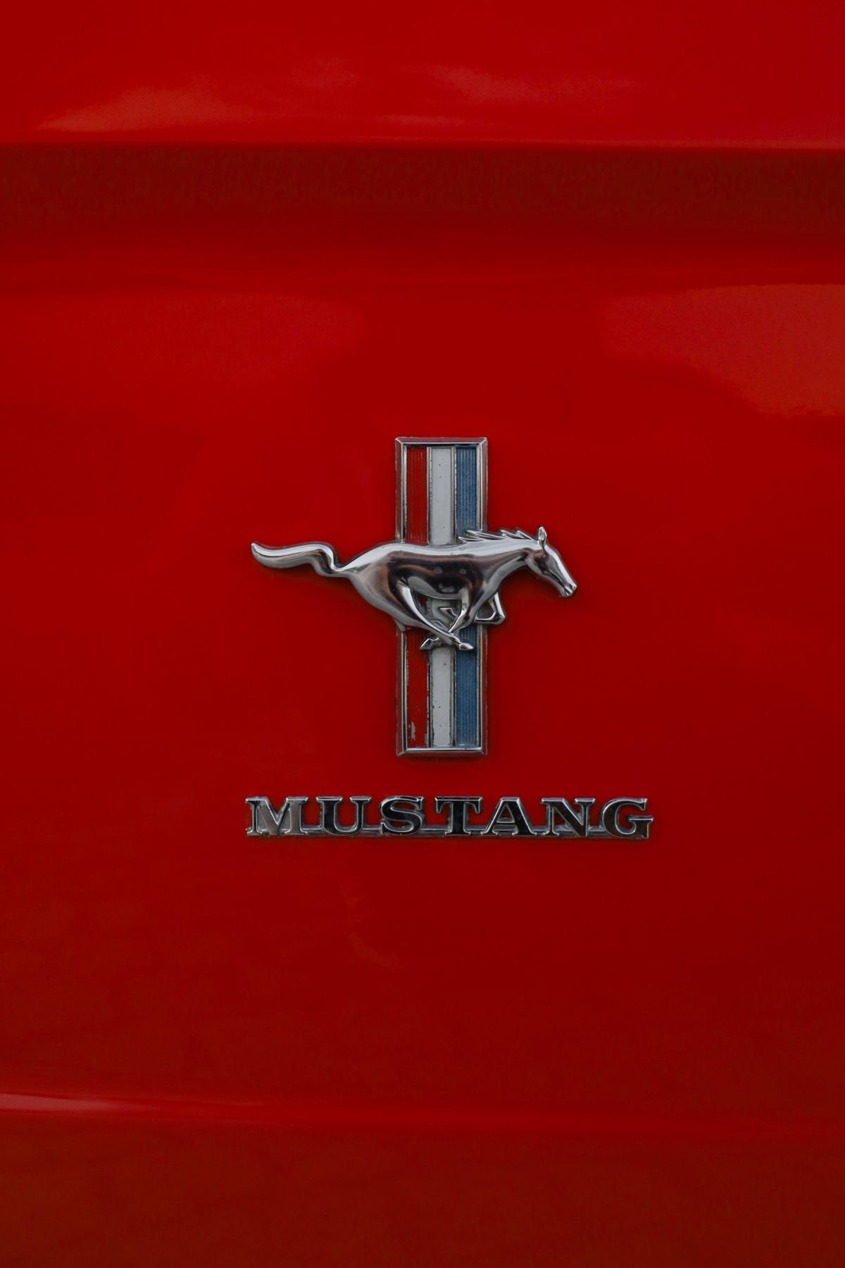 ford-mustang-1966-gasolina-3300cc