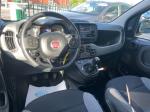 fiat-panda-2023-gasolina-999cc