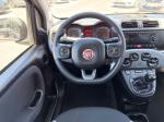 fiat-panda-2022-gasolina-999cc