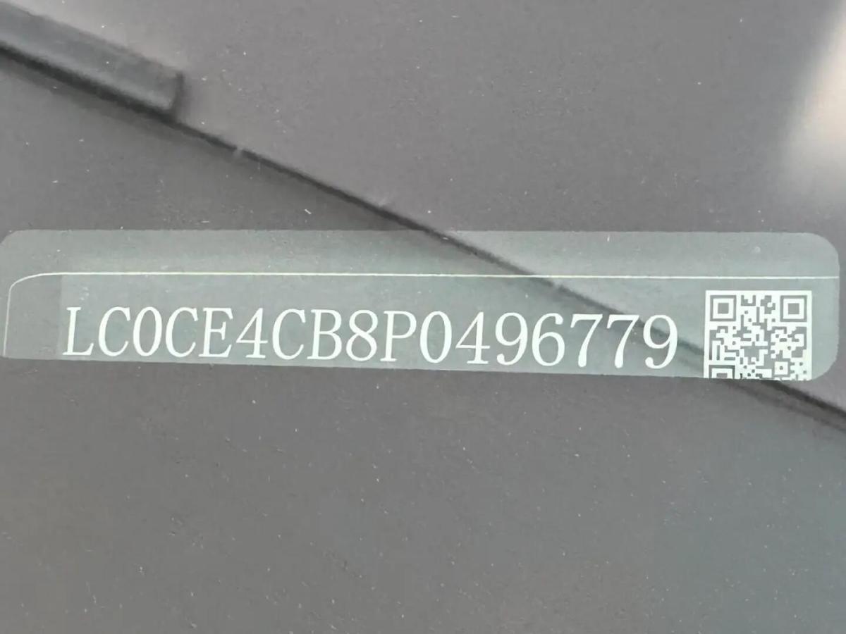 byd-dolphin-2024-eletrico-0cc