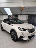 peugeot-2008-2020-eletrico-0cc