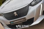 peugeot-2008-2023-eletrico-500cc