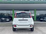 fiat-panda-2024-hibrido-a-gasolina-999cc