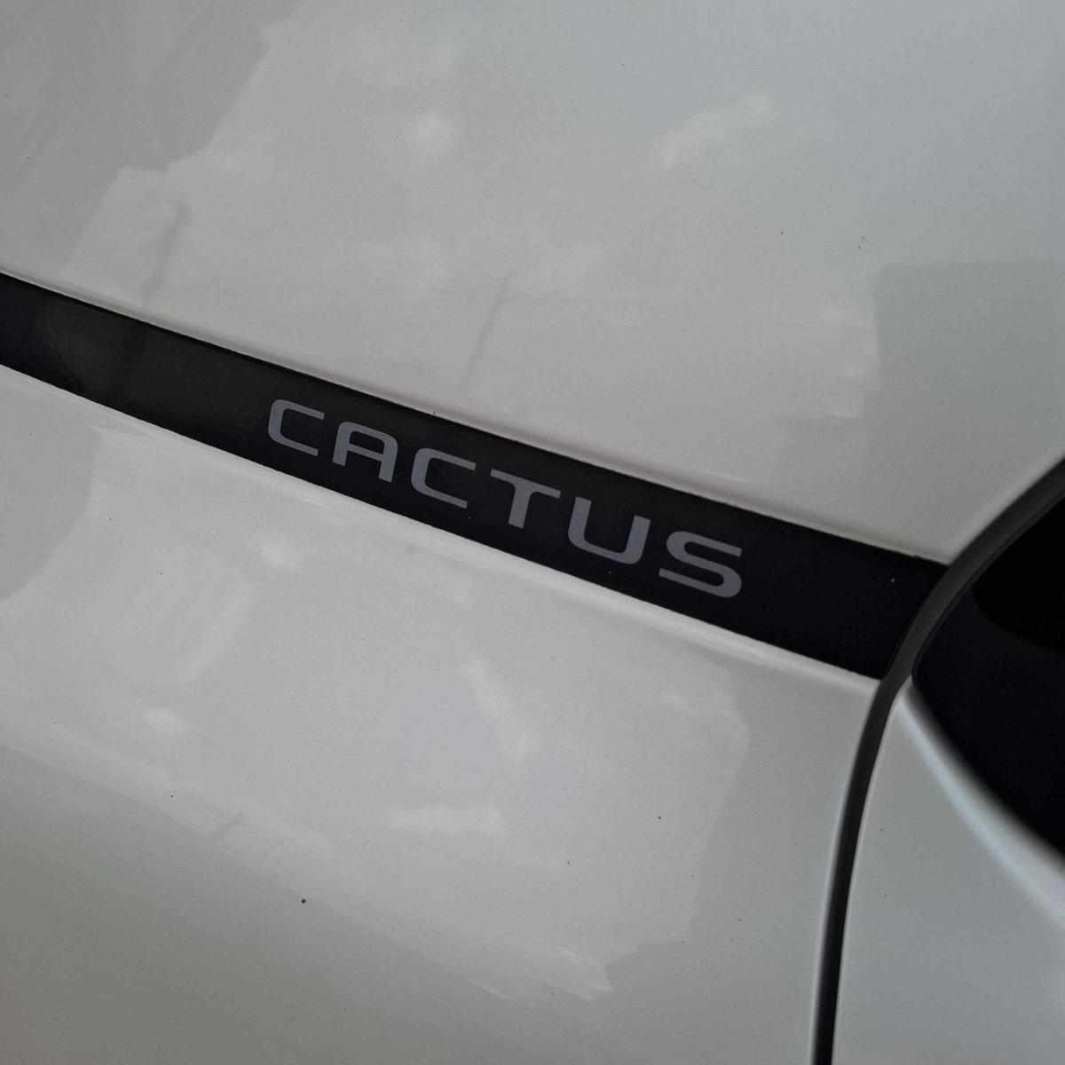 citroen-c4-cactus-1-5-bluehdi-2019-diesel-1499cc