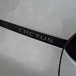 citroen-c4-cactus-1-5-bluehdi-2019-diesel-1499cc