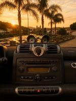 smart-fortwo-2009-gasolina-999cc