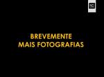 peugeot-308-2019-diesel-1499cc