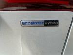 ford-focus-2024-hibrido-a-gasolina-0cc