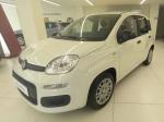 fiat-panda-2025-gasolina-999cc