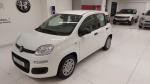 fiat-panda-2026-gasolina-999cc