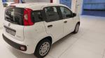 fiat-panda-2026-gasolina-999cc