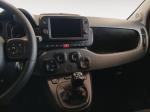 fiat-panda-2024-gasolina-999cc