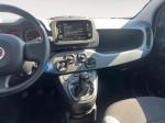 fiat-panda-2023-gasolina-999cc
