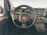 fiat-panda-2022-gasolina-999cc