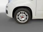 fiat-panda-2022-gasolina-999cc