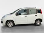 fiat-panda-2022-gasolina-999cc