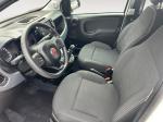 fiat-panda-2024-gasolina-999cc