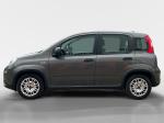 fiat-panda-2024-gasolina-999cc