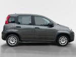 fiat-panda-2024-gasolina-999cc