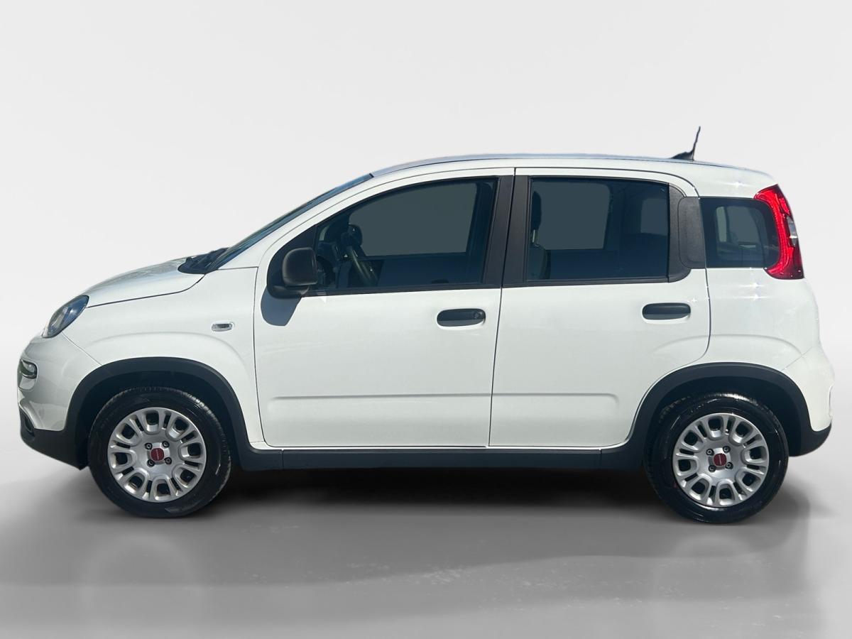 fiat-panda-2025-gasolina-999cc