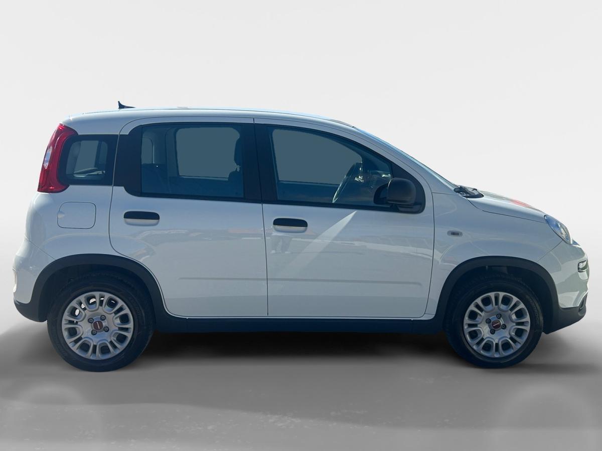 fiat-panda-2025-gasolina-999cc