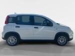 fiat-panda-2025-gasolina-999cc