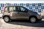 fiat-panda-1-0-gse-mild-hybrid-2023-gasolina-999cc