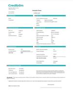 seat-ibiza-2023-gasolina-999cc