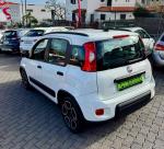 fiat-panda-1-0-gse-mild-hybrid-2021-gasolina-999cc